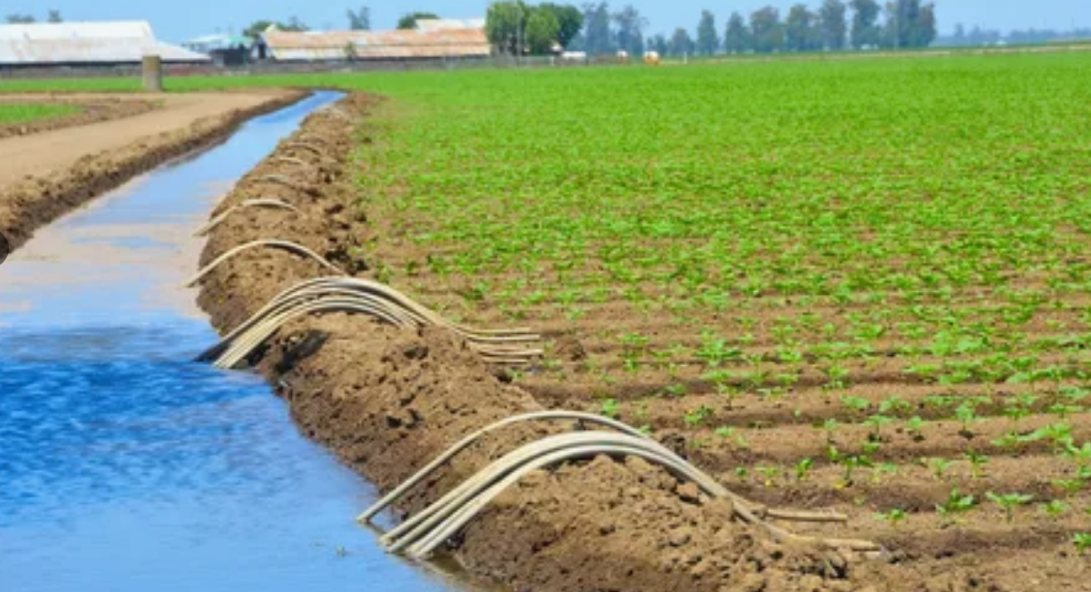 灌溉與農(nóng)村污水治理